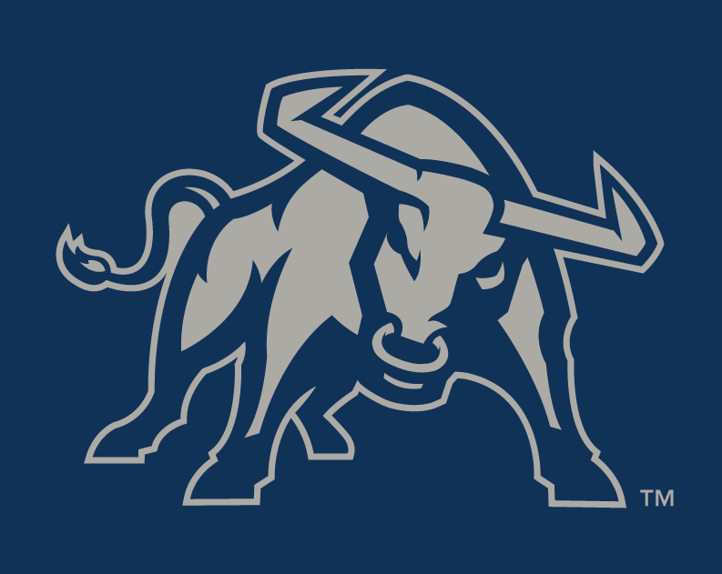Utah State Aggies 2012-Pres Alternate Logo v3 diy fabric transfer